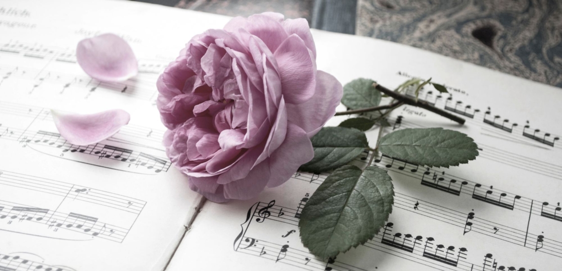 Rose auf Notenblatt, zwei Blütenblätter sind abgefallen