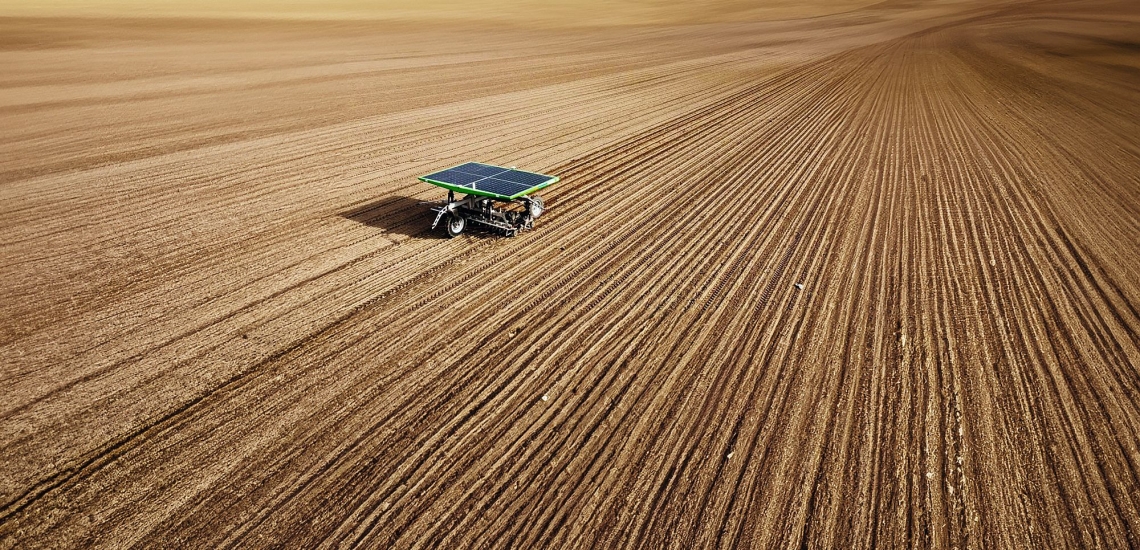 Agarroboter FarmDroid auf einem der Felder des Mühlenhofs Zepelin von Biobauer Benedikt Ley.