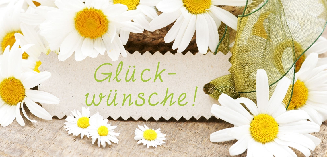 Margeriten und Gänseblümchen, dazwischen ein Schild mit der Aufschrift Glückwünsche