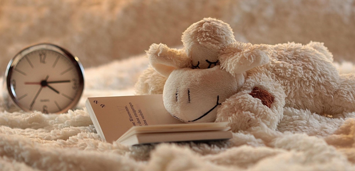 Kuscheltier mit Buch und Wecker auf Kuscheldecke