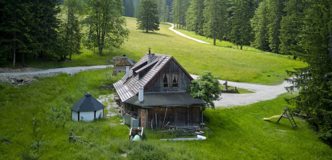 Almhütte mit Wiesen, Wegen und Wald