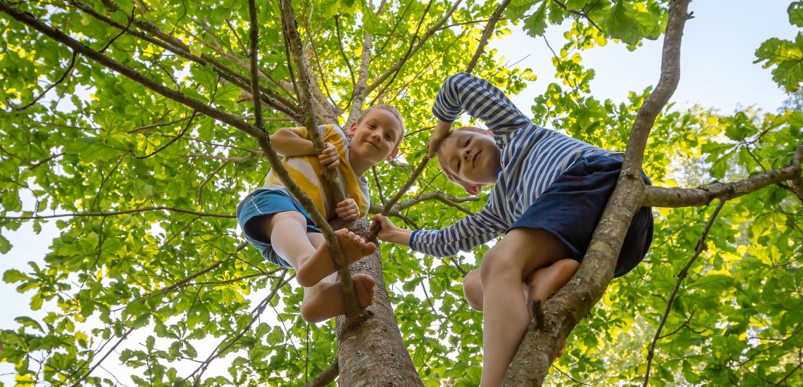 Zwei Kinder sitzen lachend in einer Baumkrone