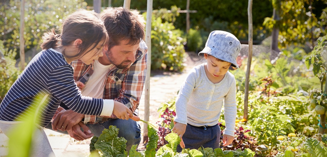 Vater betrachtet mit seinen Kindern ein Gemüsebeet im Garten