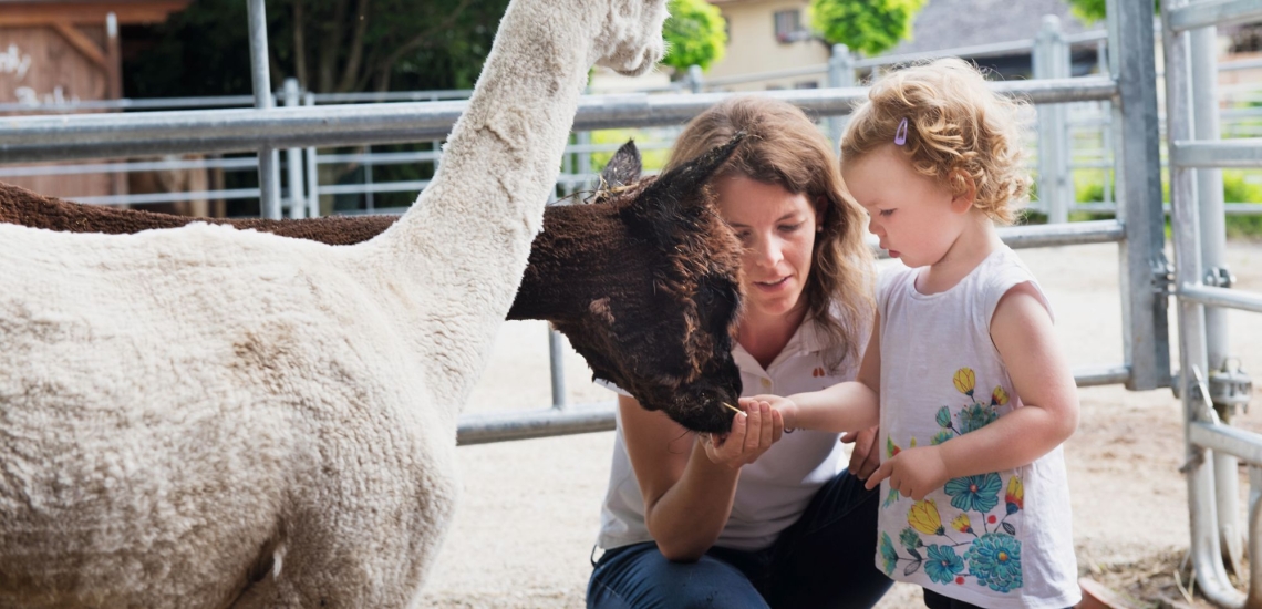 Frau mit Kind und Alpakas 