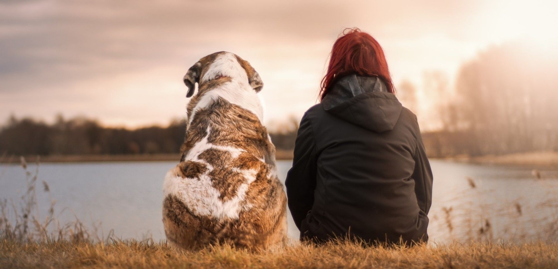 Hund und Frau sitzen am See