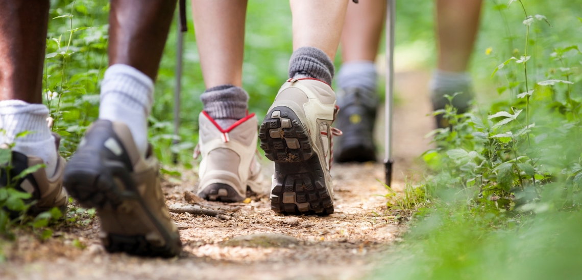 Nahaufnahme von drei Füßen, die in Wanderschuhen über einen Waldweg laufen.