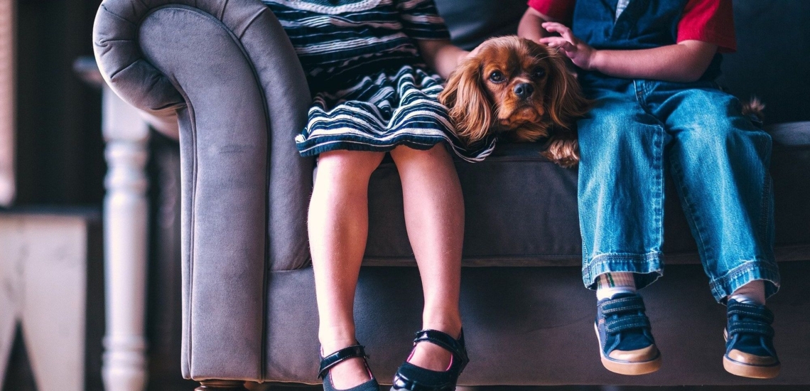 zwei Kinder mit Hund auf Sofa 