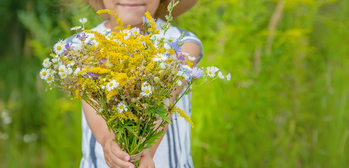 Kinderhände halten einen bunten selbst gepflückten Sommerblumenstrauß.