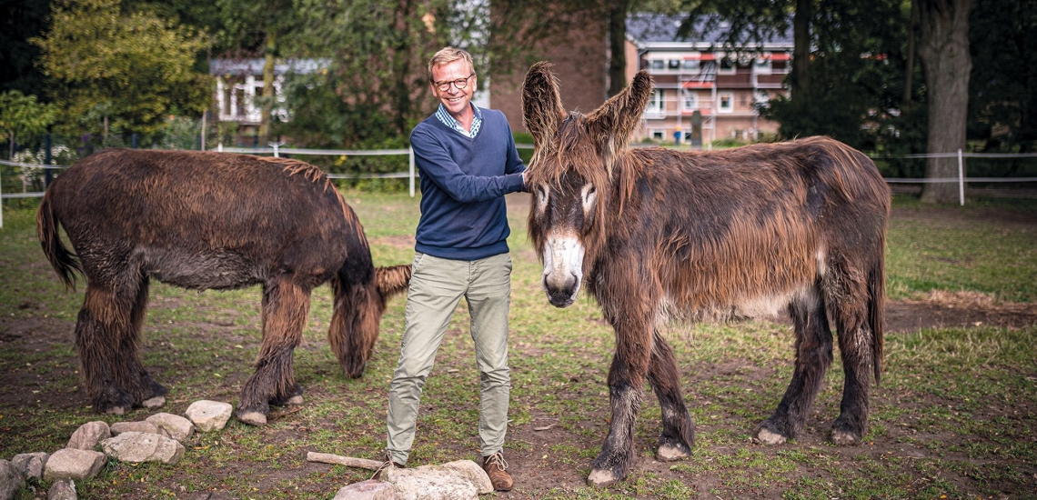 Hagencord mit zwei Eseln 