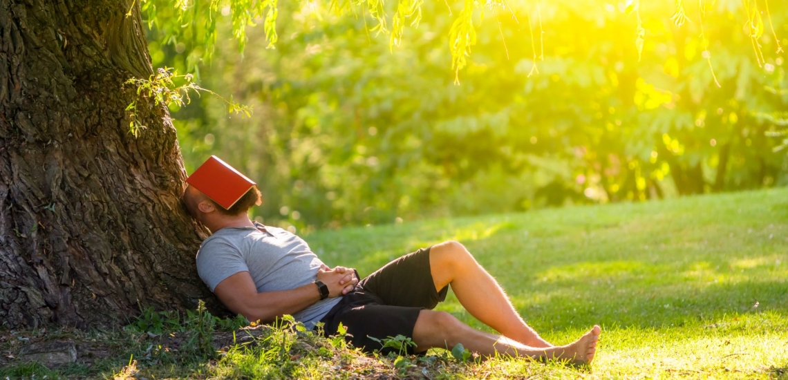 Mann liegt unter Baum mit Buch auf dem Gesicht 