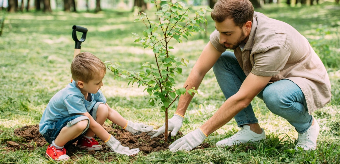 Mann und Jungen pflanzen Baum 