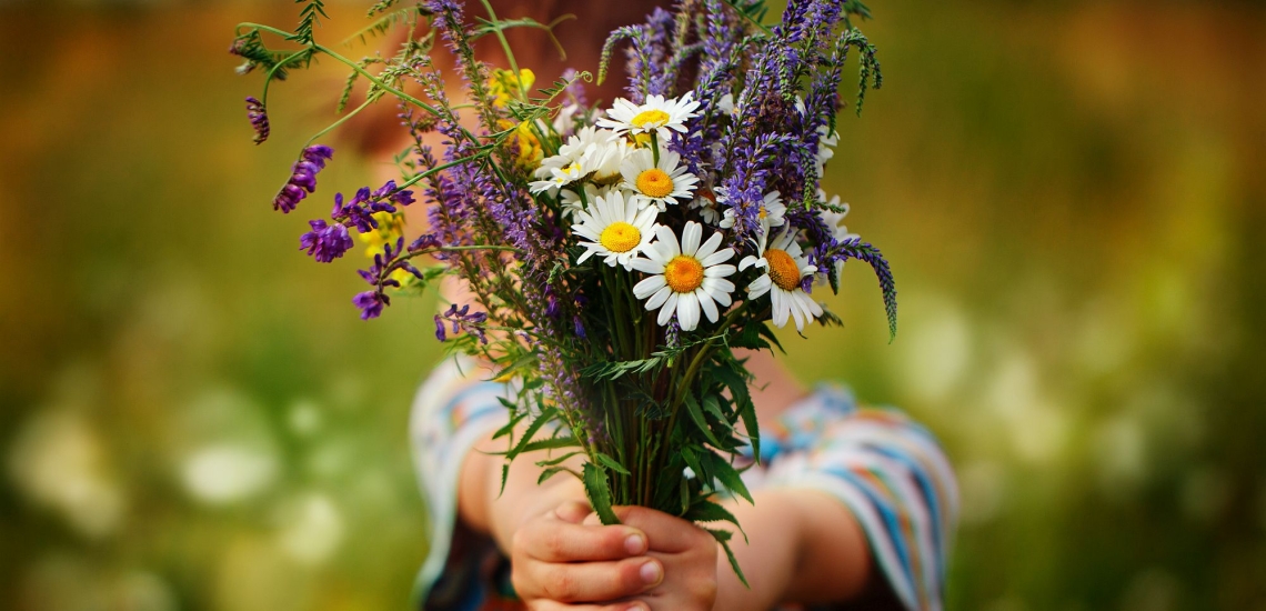 Kind überreicht Wiesenblumenstrauß