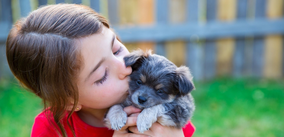 Mädchen küsst Hundewelpen 