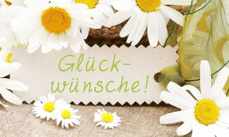 Margeriten und Gänseblümchen, dazwischen ein Schild mit der Aufschrift Glückwünsche