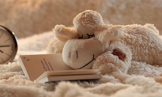 Kuscheltier mit Buch und Wecker auf Kuscheldecke