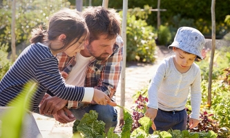 Vater betrachtet mit seinen Kindern ein Gemüsebeet im Garten