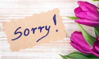 Tulpenstrauß neben Schild mit der Aufschrift Sorry 