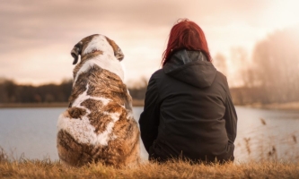 Hund und Frau sitzen am See