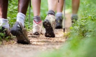 Nahaufnahme von drei Füßen, die in Wanderschuhen über einen Waldweg laufen.