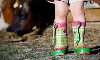 Kinderbeine in Gummistiefeln im Kuhstall 