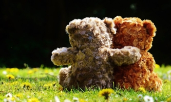 zwei Teddybären umarmen sich 