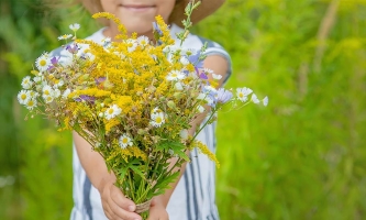 Kidnerhände halten einen bunten selbst gepflückten Sommerblumenstrauß.