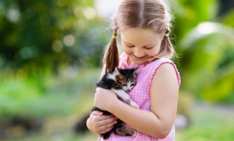 Mädchen hält Katzenbaby im Arm