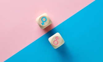 rosa und hellblau geteilte Fläche – mit einem Würfel mit rosa männlichem Symbol auf der hellblauen Seite und einem Würfel mit hellblau weiblichem Symbol auf der rosa Seite