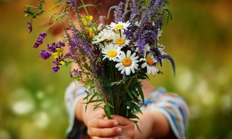 Kind überreicht Wiesenblumenstrauß