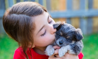 Mädchen küsst Hundewelpen 