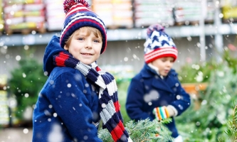 Zwei Jungen mit Tannenbäumen auf Markt 